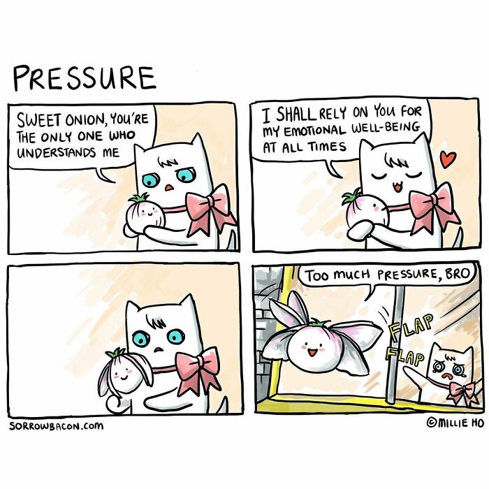 Comic about life's random things showing a cat relying on a sweet onion for emotional well-being with a funny twist.