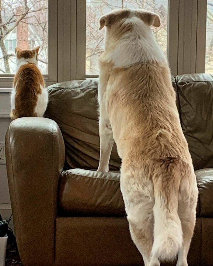 What Ya See Out There, Leonard?