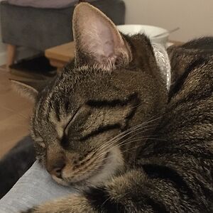 juliejohnson_2 avatar