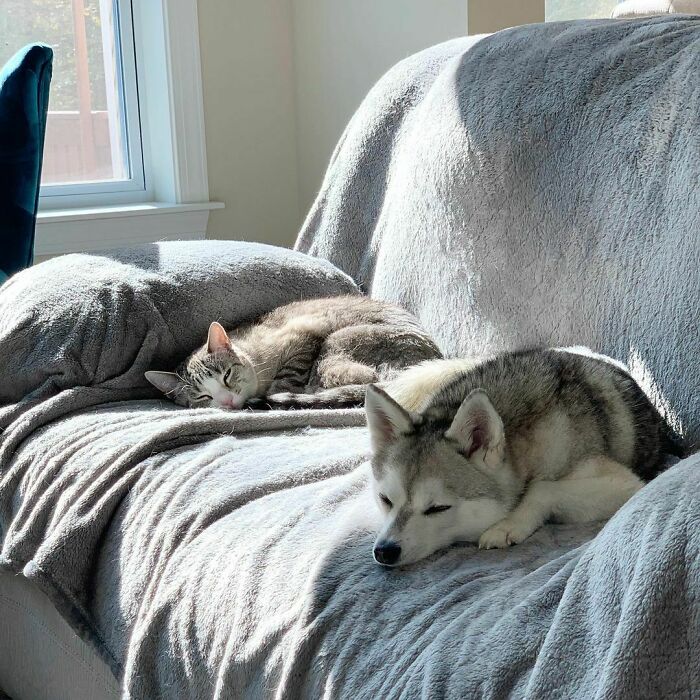 Mom Ignores Us All Morning Claiming To Be Working. So After We Play We Take Naps