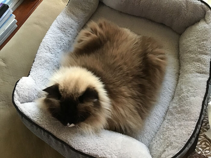 Square Loaf