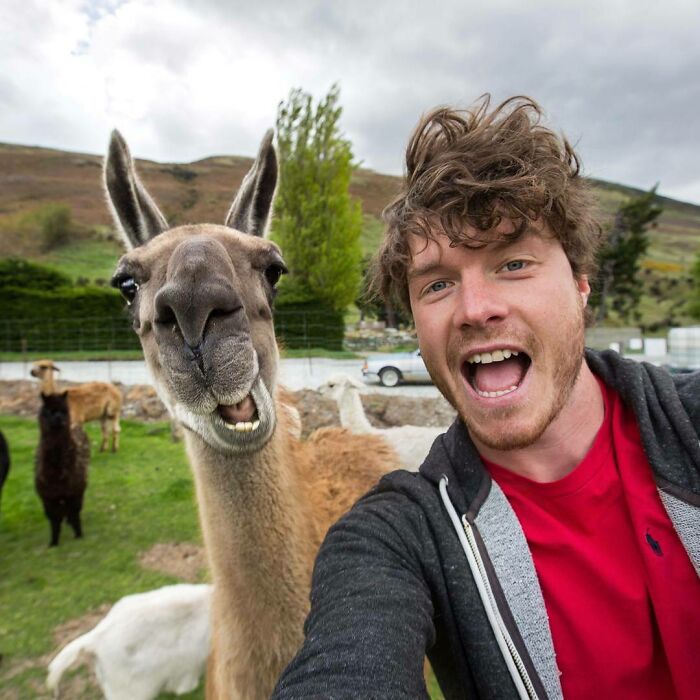 You Rock! The Internet Went A Bit A Crazy Today. Welcome To The World Of Hilarious Animal Selfies