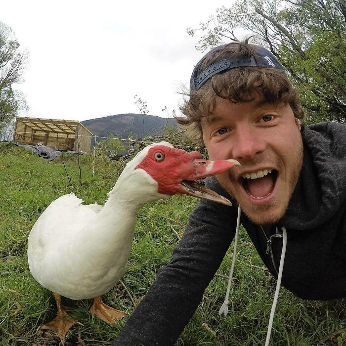 Meet Dave, He Quacks, Loves Waddles In The Park And He's Looking For Hugs. Express Your Love For Him In A Comment And I'll Be Sure To Let Him Know