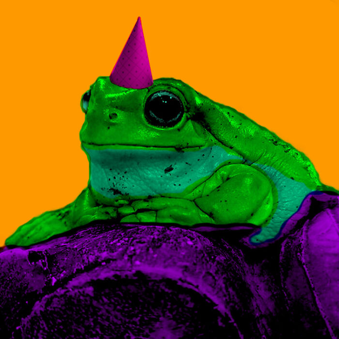 Pop-Art Perfect Party Frog Pondering Patiently!