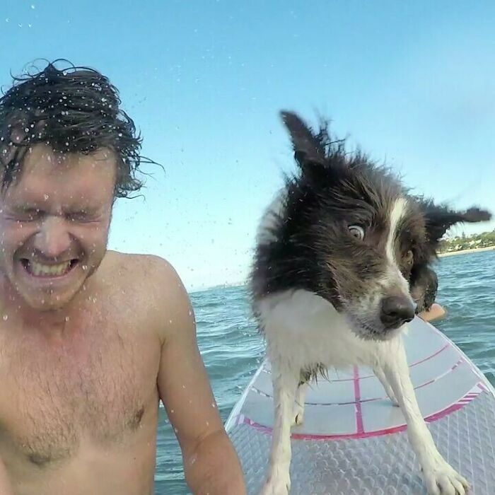 Shake It Off. The Gold Medal For Funny Face Expressions Goes To Abby