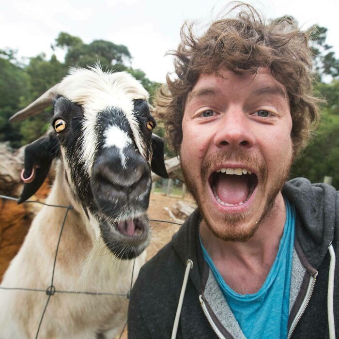 Goat Yeah. Just Kidding Around! 