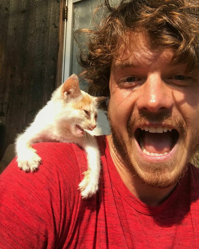 Behind The Scenes Of The Animal Selfies. It Will Shock You 