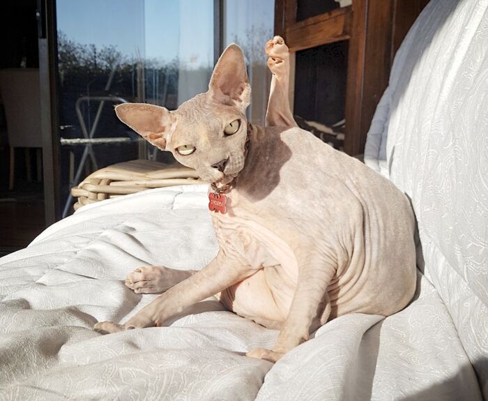 Taking A Bath In The Sun