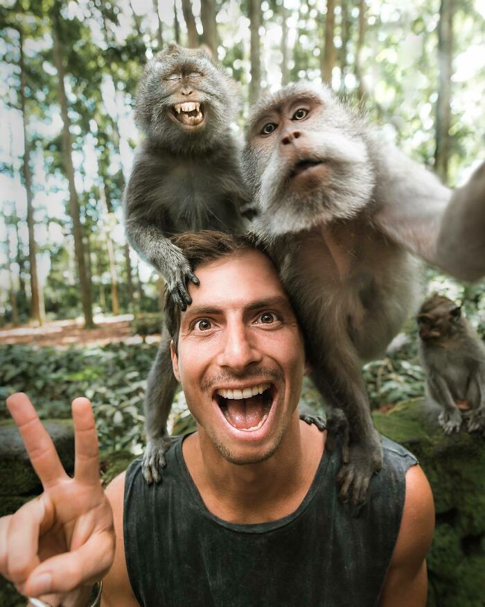 Man smiling with two funny monkeys on his shoulders in a forest, making a peace sign.