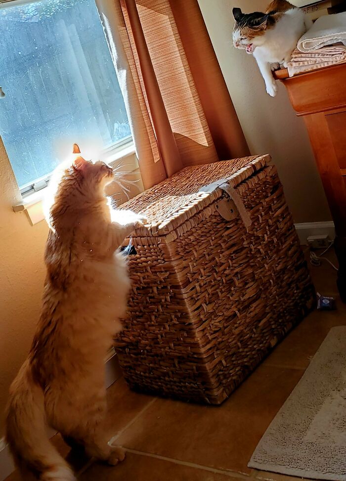 Fight Over The Window Seat