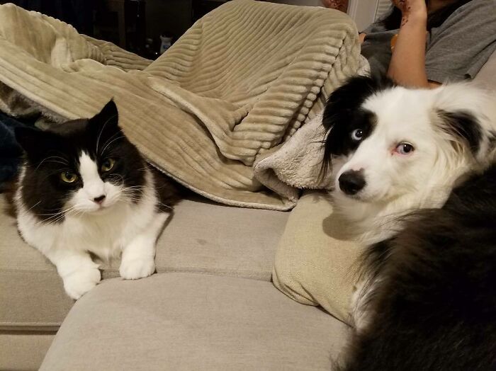 Sven And His Dog Twin, Darwin