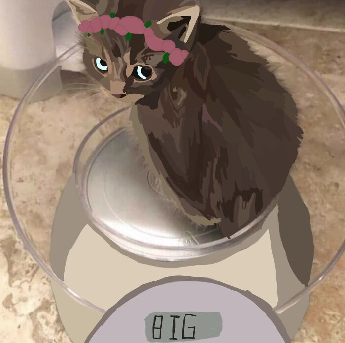 Not Photo Shop But I Think This Will Do!