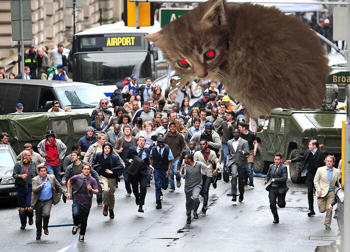 Giant Cat Takes Over City