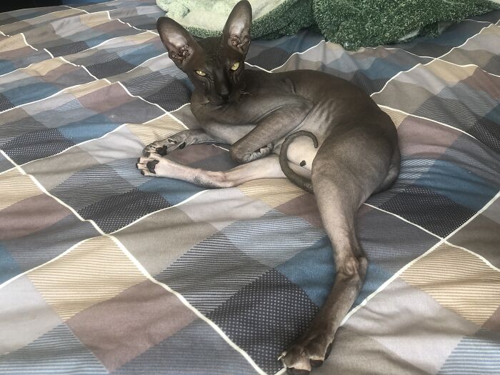 Maybe Mad But Still Looking Good