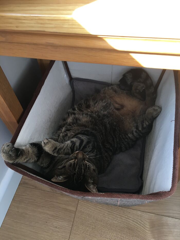 Still Fit In Here If I Lie Diagonally