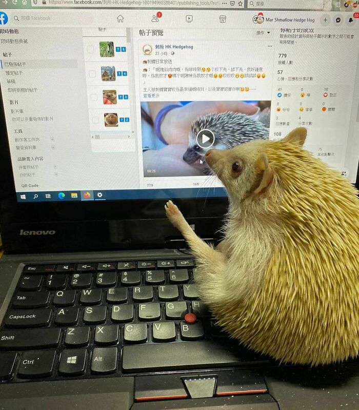 Checking Social Media