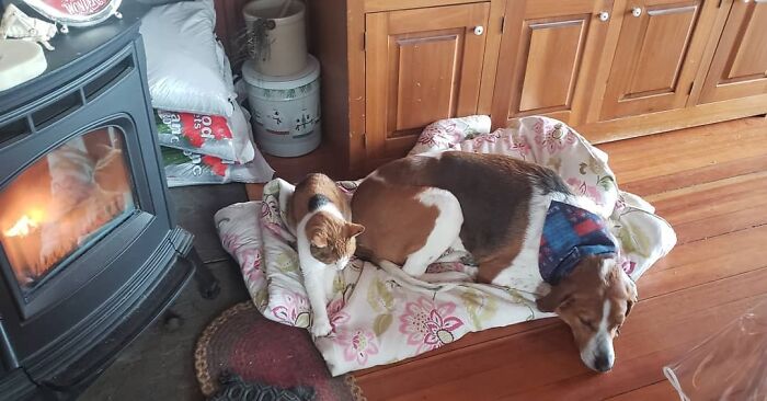 Twinsies By The Fire