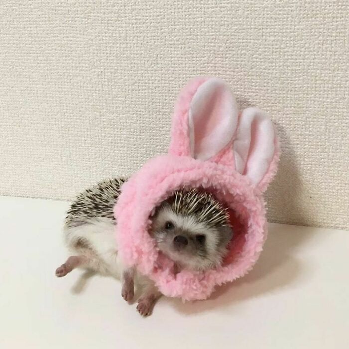 So Funny ＆ So Cute