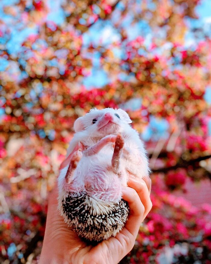 Can You Smell The Flowers?