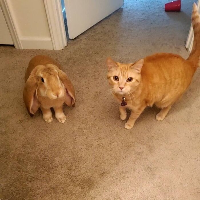 My Bestie, Daphne! I'm A Big Boy