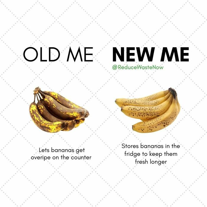 Follow @reducewastenow For Easy, Actionable Ways You Can Help The Environment!
would You Try This?
tag Someone Who’d Find This Helpful! 💚
putting Bananas In The Fridge Once They’re Fully Ripe Helps Them Stay Ripe For A Few Days! 🍌
make Sure The Bananas Are Fully Ripe Before Putting Them In The Fridge! If They’re Still A Bit Green They’ll Go Bad Faster In The Fridge 👀
or Let Them Sit On The Counter, Get Overripe, And Make Some Banana Bread! 🍌😉
click The Link In Bio To Shop Sustainable Alternatives To Everyday Products!
#reducewastenow
source: Independent
https://Www.independent.co.uk/Life-Style/Food-And-Drink/Foods-Fridge-Storage-Freezer-B1776226.html
#foodwaste #zerowaste #sustainability #nofoodwaste #foodie #zerofoodwaste #zerowasteliving #sustainable #food #sustainableliving #savefood #compost #vegan #zerowastefood #circulareconomy #lovefoodhatewaste #earth #bestbefore #recycle #ecofriendly #organic #environment #composting #sustainablefood #plasticfree #plantbased