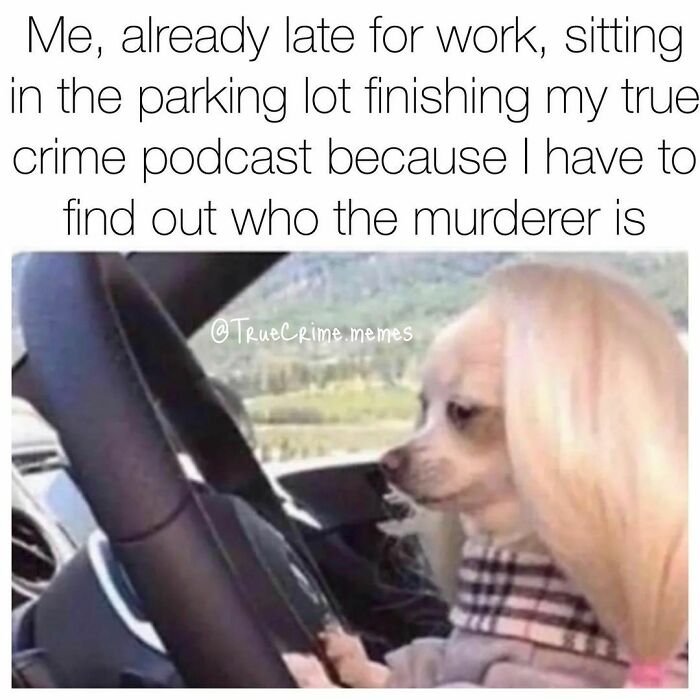 True-Crime-Memes