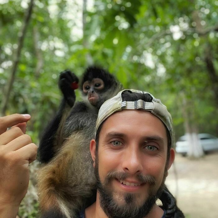 Man with a bearded smile and backward cap posing with a playful monkey on his shoulder.