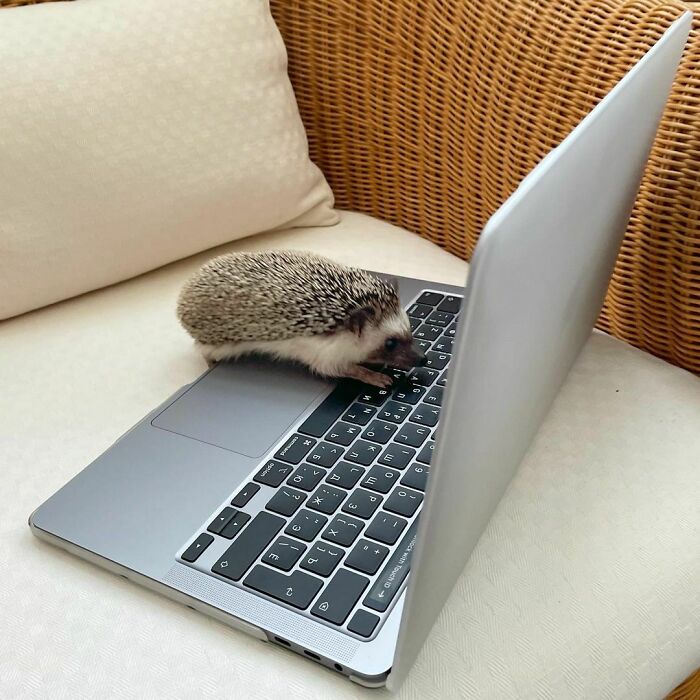 While My Mother Is On Vacation, I'm Working For Her