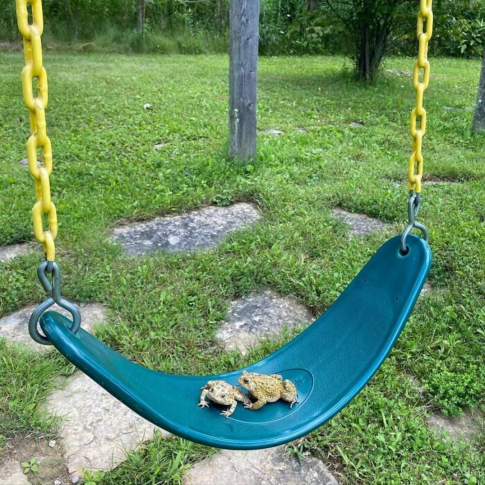 Swing, Swing Swing From The Tangles Of My Heart