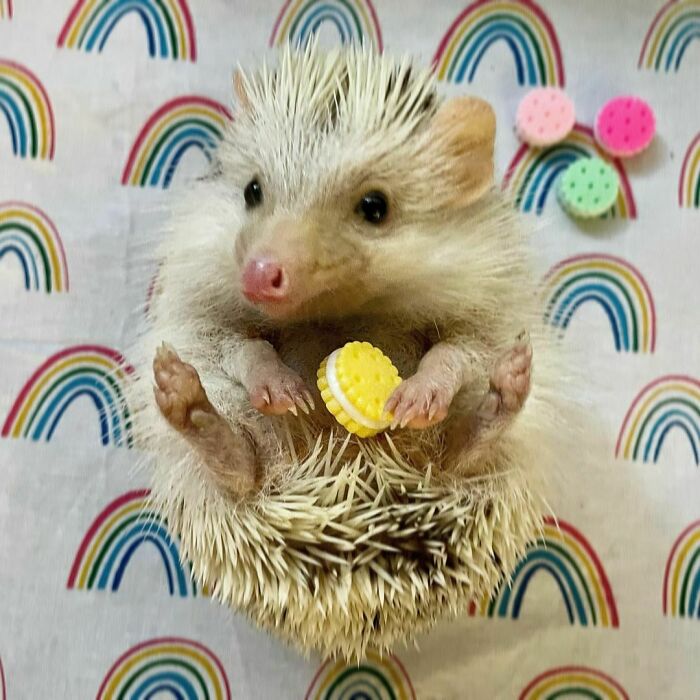 Sundays Are Sweet Just Like You