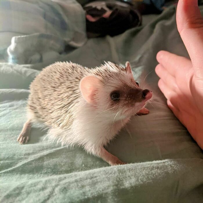 But I Wanna Go That Way