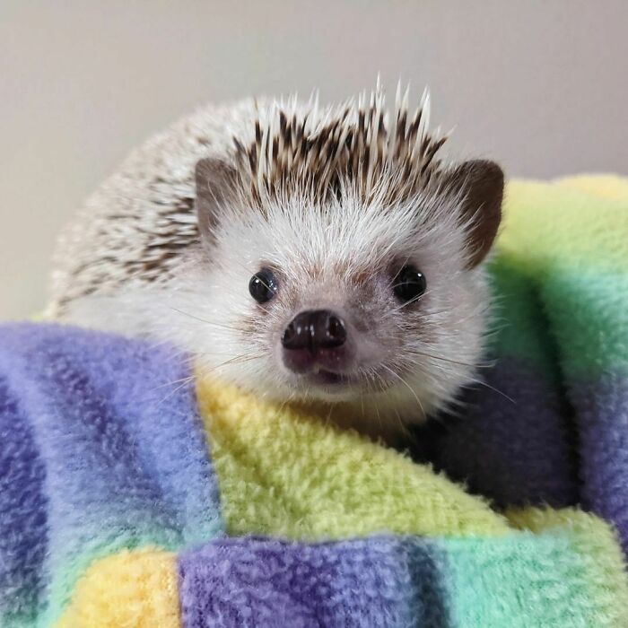 You Can't Look Good In Every Picture