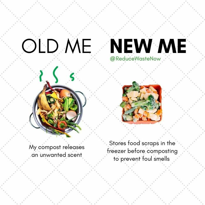 Follow @reducewastenow For Easy, Actionable Ways You Can Help The Environment!
would You Try This?
tag Someone Who’d Find This Helpful! 😊
if Your Countertop Compost Bin Leaks Smells, Try This Instead!
freezing Your Food Scraps In A Reusable Container Prior To Composting Can Help Eliminate Those Unwanted Smells! 💚
click The Link In Bio To Shop Sustainable Alternatives To Everyday Products!
#reducewastenow
source: Cbc
read More Here (Copy And Paste On Desktop) 👇
https://Www.cbc.ca/News/Canada/Montreal/Composting-Tips-To-Avoid-Flies-And-Stinky-Containers-1.3952979
#foodwaste #zerowaste #sustainability #nofoodwaste #foodie #zerofoodwaste #zerowasteliving #sustainable #food #sustainableliving #savefood #compost #vegan #zerowastefood #circulareconomy #lovefoodhatewaste #earth #bestbefore #recycle #ecofriendly #organic #environment #composting #sustainablefood #plasticfree #plantbased