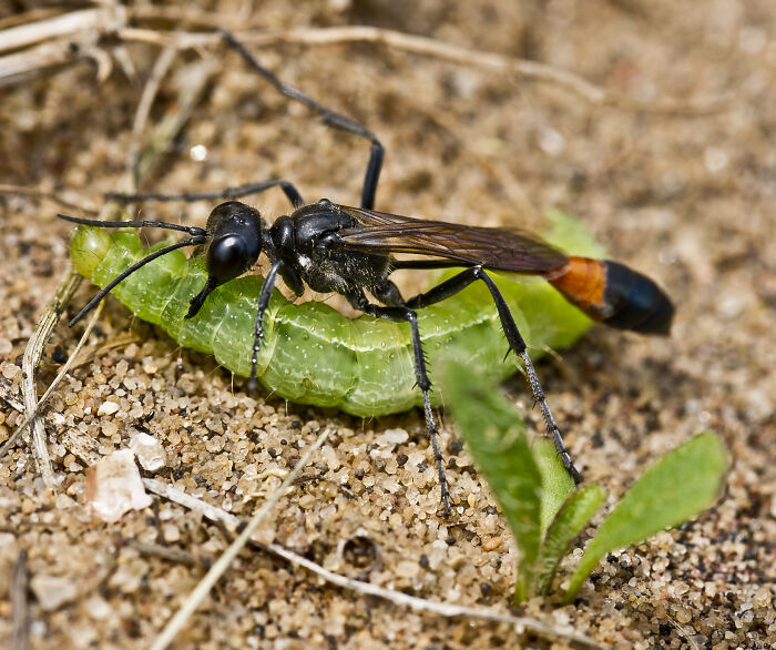 Two For The Price Of One