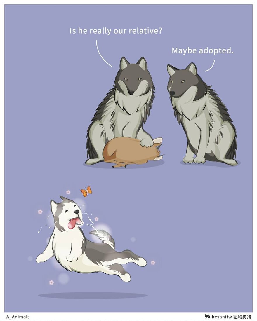 Chinese Artist Makes Adorable Comics Showing How Animals Would Act Like Humans