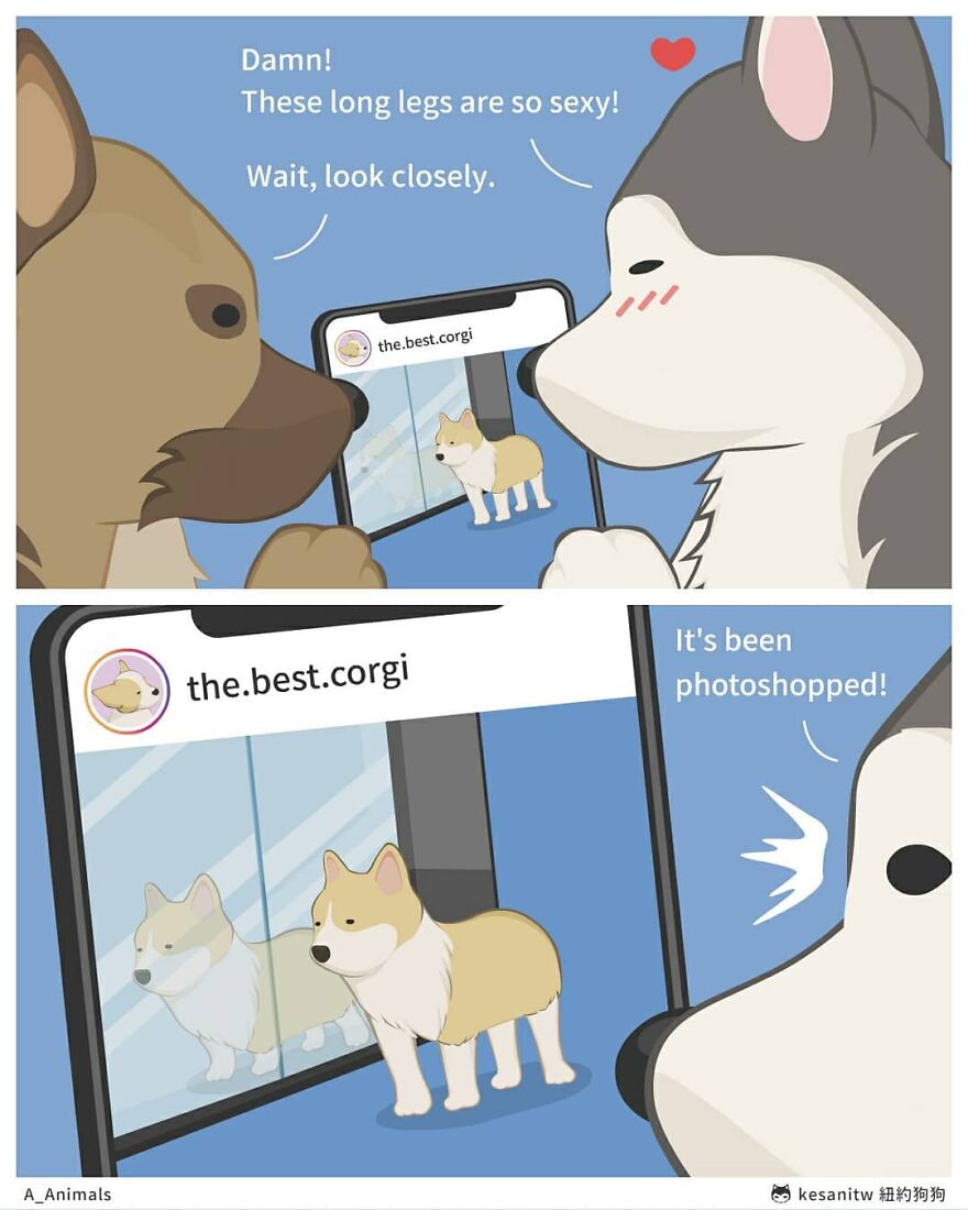 Chinese Artist Makes Adorable Comics Showing How Animals Would Act Like Humans