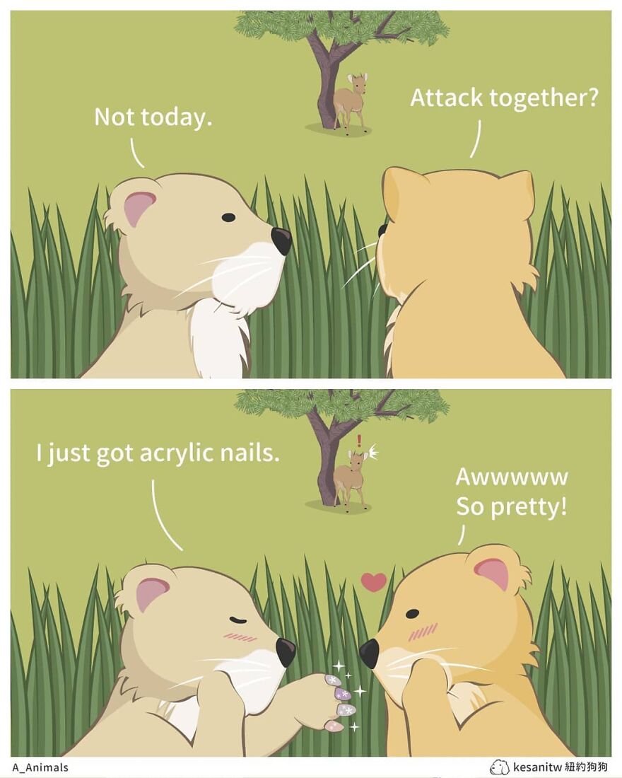 Chinese Artist Makes Adorable Comics Showing How Animals Would Act Like Humans