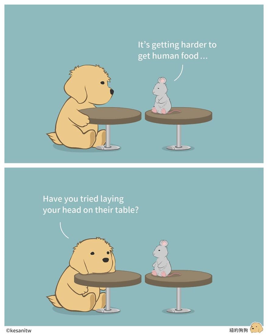 Chinese Artist Makes Adorable Comics Showing How Animals Would Act Like Humans