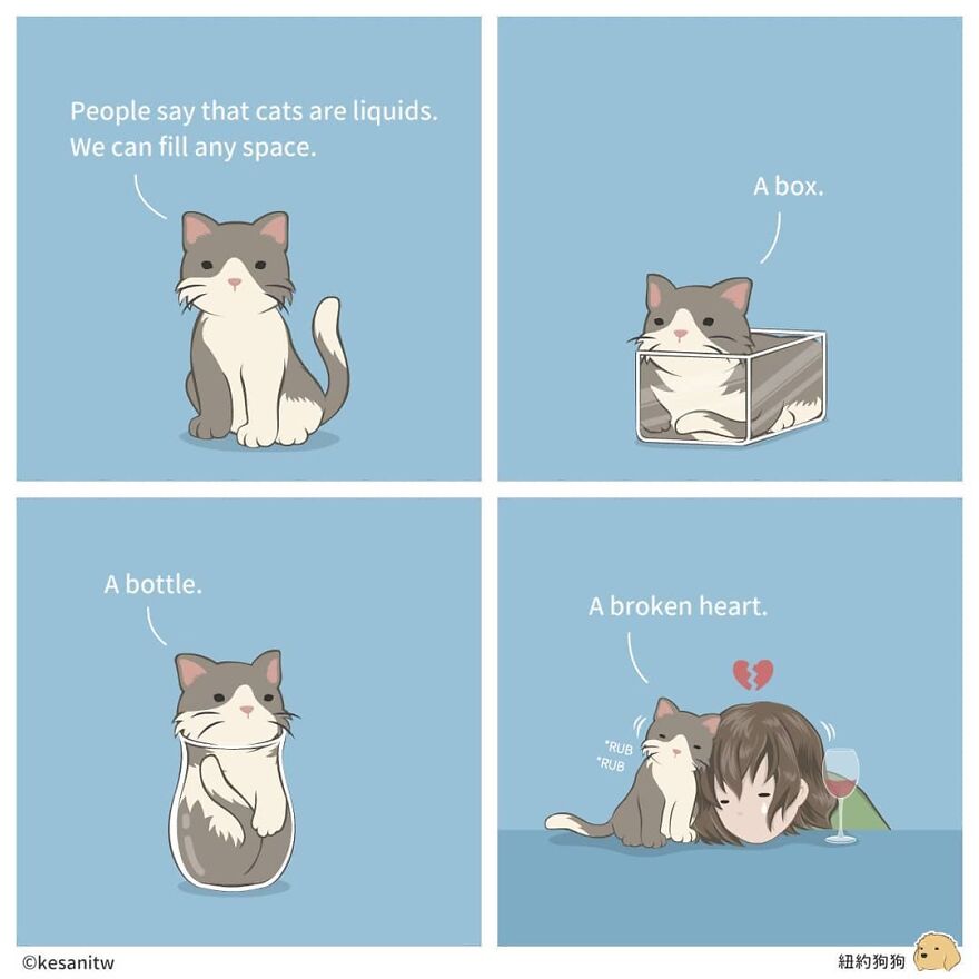 Chinese Artist Makes Adorable Comics Showing How Animals Would Act Like Humans