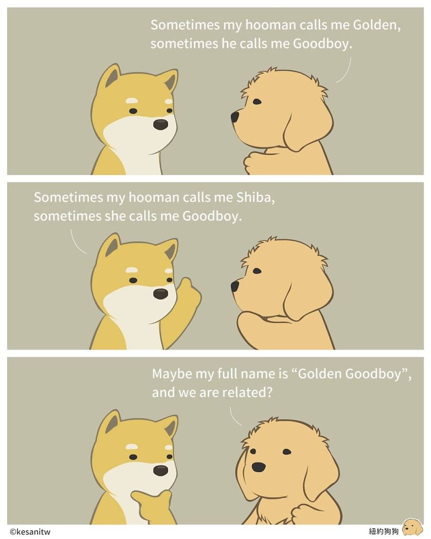 Chinese Artist Makes Adorable Comics Showing How Animals Would Act Like Humans