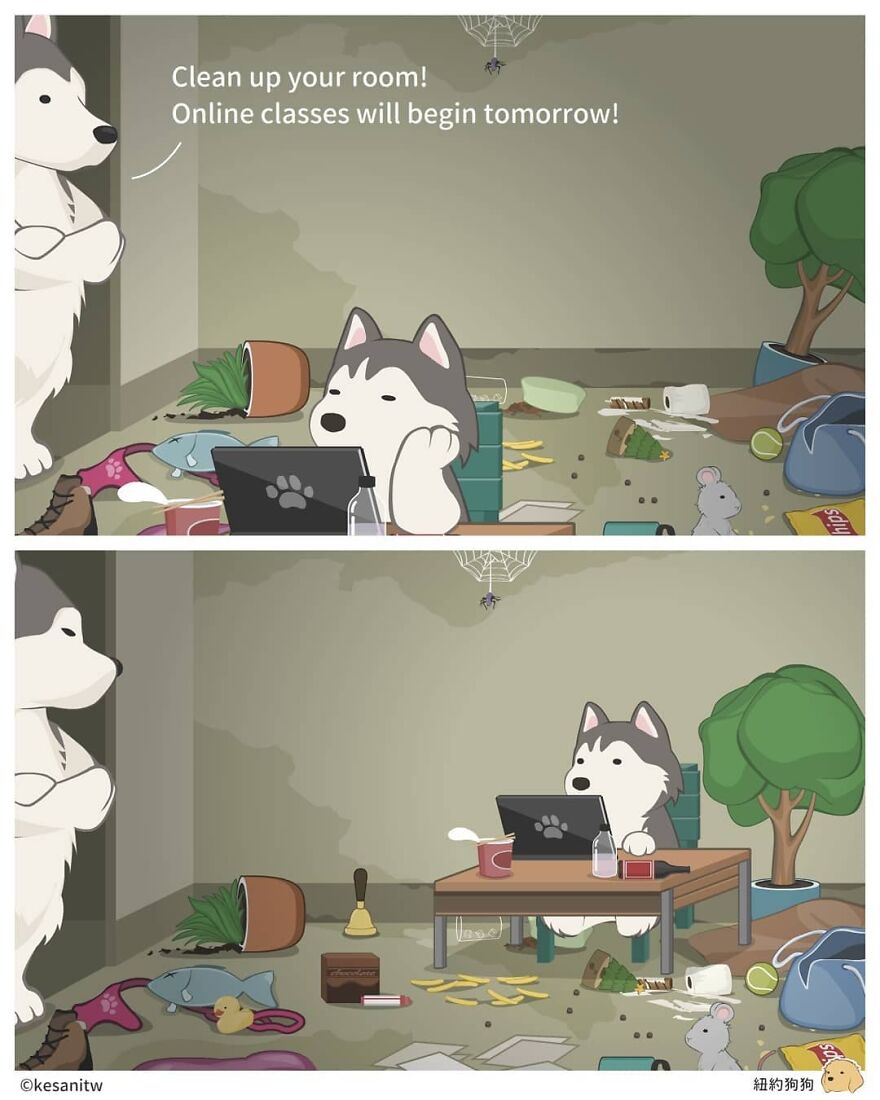 Chinese Artist Makes Adorable Comics Showing How Animals Would Act Like Humans