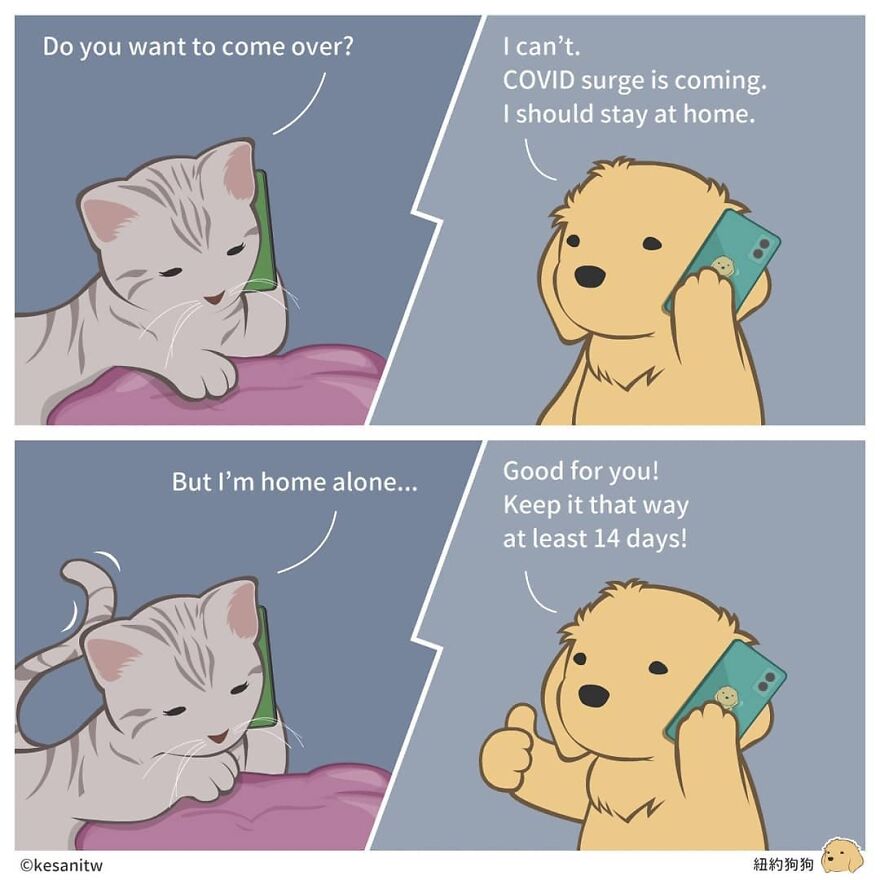 Chinese Artist Makes Adorable Comics Showing How Animals Would Act Like Humans