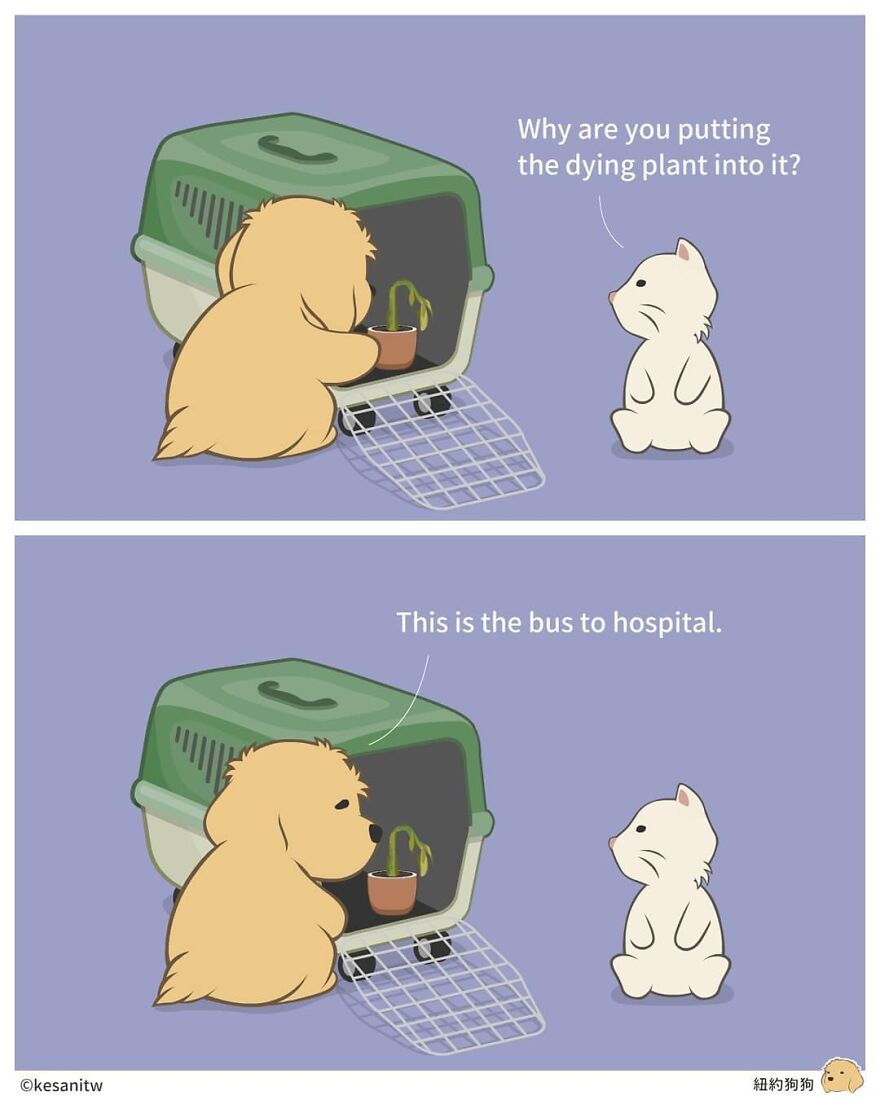 Chinese Artist Makes Adorable Comics Showing How Animals Would Act Like Humans