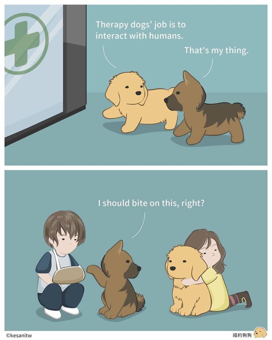 Chinese Artist Makes Adorable Comics Showing How Animals Would Act Like Humans