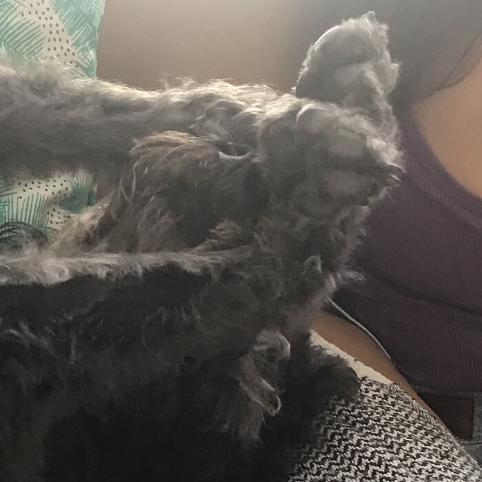 Widget After Waking Up