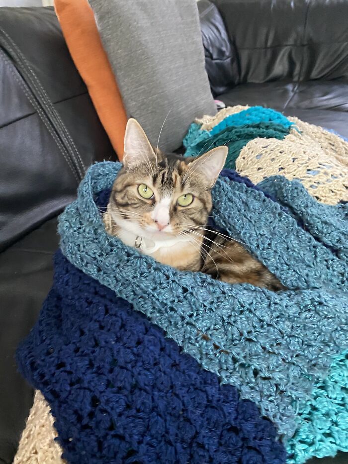 She Loves This Blanket