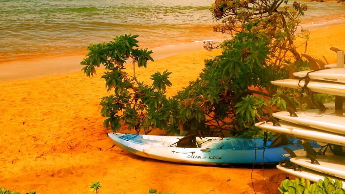 I'm Shooting Through Sunglasses Just For Fun; Mokapu Beach, Maui, In Front Of The Andaz Maui.
