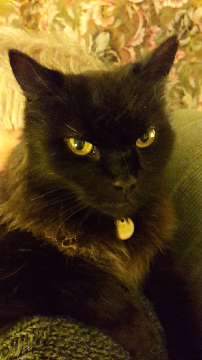 I'm Ready For My Close Up