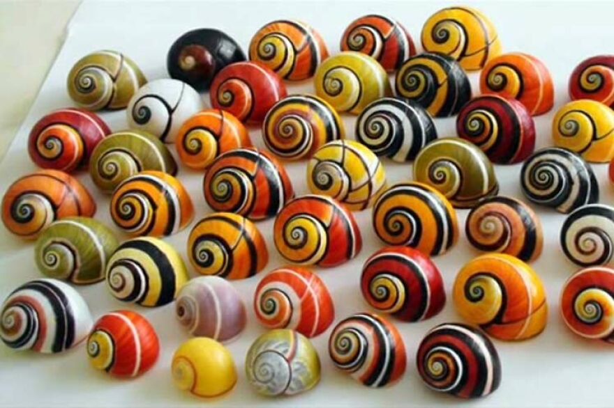 17 Amazing And Cute Animals!