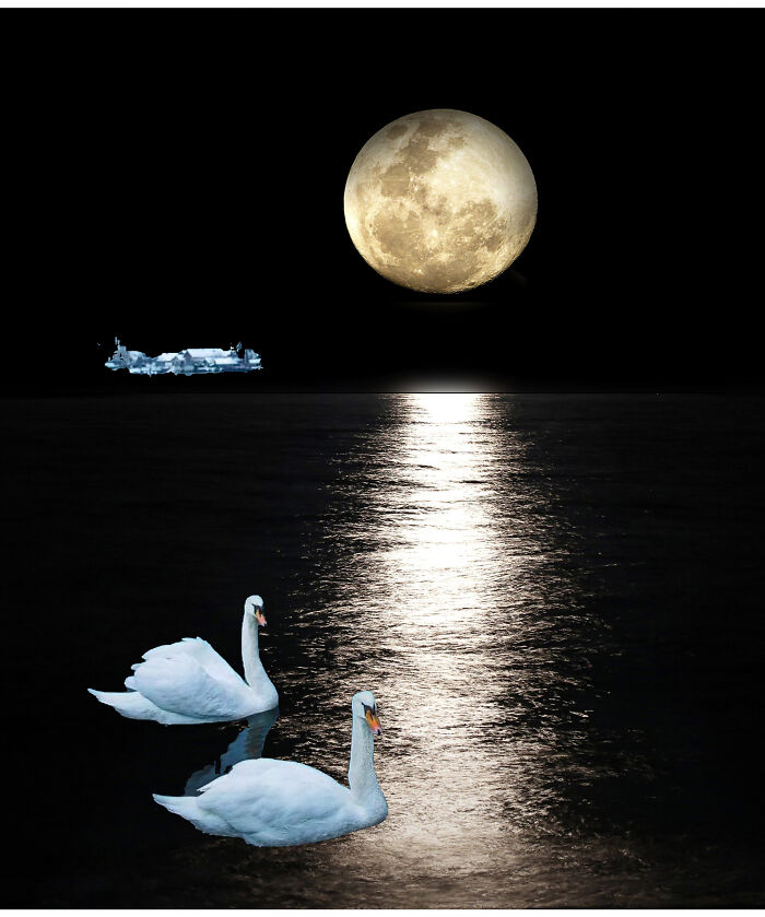 Edit By Bindu Mandviya